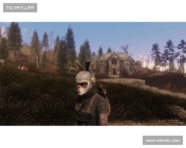 辐射4护甲完美搭配攻略 辐射4护甲完美搭配攻略